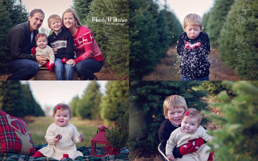 Mandy D’Aloisio Photography – Christmas Mini’s